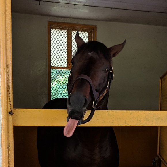 Meet your Posher, Kim - Picture 7 of 7